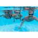 Bestway: Accelera™ Schwimmbrille in verschiedenen Farben 1 Stk