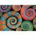 Colorboom: Chamäleons Puzzle 500 Teile - Clementoni