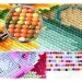 Diamantmalerei-Set: Einhorn auf Regenbogen 10x15cm
