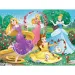 Disney Prinzessinnen: Sei eine Prinzessin Puzzle 30-teilig - Trefl