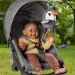 Fisher Price: Lieber flatternder Tukan Plüsch-Babaspielzeug - Mattel