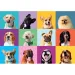 Fröhliche Hundegesichter 300-teiliges Puzzle - Clementoni