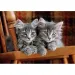 Graue Katzen 500-teiliges HQC Kompaktpuzzle - Clementoni