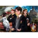 Harry Potter - Am Tor von Hogwarts 1000-teilige Puzzle mit Poster - Clementoni