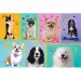 Hunde 100-teiliges Puzzle - Trefl