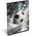 ICO: Lizzysuli Top League FTW Blankoheft A4 80-32