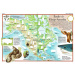 Illustrierter Atlas für Kinder – Tiere der Welt. Ein Sachbuch mit Aufklebern
