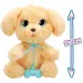 Interaktiver Baby-Pfoten Hund – Labrador