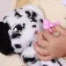 Interaktiver Baby Pfoten Hund - Dalmatiner