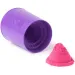Kinetic Sand: Eiscreme-Box mit rosa Sandknete - Spin Master
