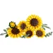LEGO® Botanicals: Sonnenblumenstrauß (11502) Bild 2