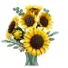LEGO® Botanicals: Sonnenblumenstrauß (11502) Bild 3