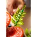 LEGO® Botanicals: Waldpilze (11505) Bild 8