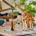 LEGO® Creator: Afrikanische Wildtiere (31150)