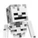 LEGO® Minecraft: Das Skelett (21594) Bild 3