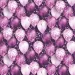 Lila-weißes Geschenkpapier mit Luftballons, 100 x 70 cm