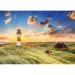 Listi Leuchtturm 1000-teiliges Premium Plus Quality Puzzle - Trefl
