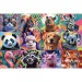 Lustige Tierporträts 300-teiliges Puzzle - Trefl