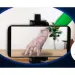 Mittwoch: Äh, die Hand, mit lebensechten Effekten