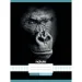Nebulo: Kariertes Heft mit Gorilla-Muster 87-32 A/4
