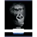 Nebulo: Geheftetes liniert Heft mit Gorilla-Muster 81-32 A/4