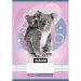 Nebulo: Geheftetes liniertes Heft für die 1. Klasse A5 14-32 Tiere - Koala
