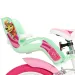 Paw Patrol Skye 14" Kinderfahrrad mit Korb und Puppensitz in Rosa-Mintgrün – Dino Bikes Fahrrad