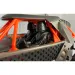 RC-Geländewagen mit Überrollbügel im Maßstab 1/16, 20 cm, in zwei Farben.