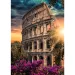 Rom, Kolosseum 1000-teiliges Premium-Puzzle - Trefl