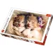 Schlafende Kätzchen 500-teiliges Premium-Puzzle - Trefl