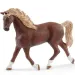 Schleich: Horse Club - Emilys und Lunas Waschplatz Spielset (42438)
