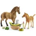 Schleich: Horse Club - Sarahs kleine Tierpflegeset (42432)