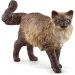 Schleich: Ragdoll-Katzenfigur (13940)