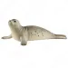 Schleich: Robbe Figur (14801)
