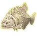 Science &amp; Play: Piranha fluoreszierendes archäologisches Set - Clementoni