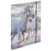 Spirit: Cool Magical Horse ergonomischer Schulranzen, Rucksack 4-teiliges Set