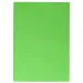 Spirit: Grüner Dekorkarton 70x100cm 220g