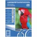 Spirit: Laminierfolie, 100er-Pack, 65 x 95 mm