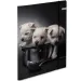 Spirit: Welpen Gummizugmappe A4 600g