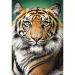 Tiger-Porträt 1500-teiliges Puzzle - Trefl