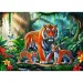 Tiger im Dschungel 200-teiliges Puzzle – Trefl