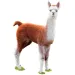 WOW Junior kleines Lama Puzzle 100-teilig