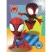 Wunderbarer Spider-Man 20-teiliges MiniMaxi-Puzzle in verschiedenen Varianten - Trefl