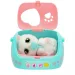 Baby Paw – Babykatze Bild 2