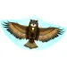 Drachenflieger Eule Bild 1