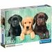 Drei kleine Labrador 1000 Teile HQC Puzzle mit Poster - Clementoni