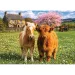 Freunde auf dem Bauernhof 500 Teile Puzzle - Trefl Bild 2