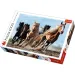 Rasende Pferde 1000-teiliges Premium-Puzzle - Trefl Bild 1