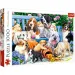Hunde im Park 1000 Teile Puzzle - Trefl Bild 1