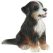 Joy, der Berner-Sennenhund-Welpe – Spielfigur - Bullyland